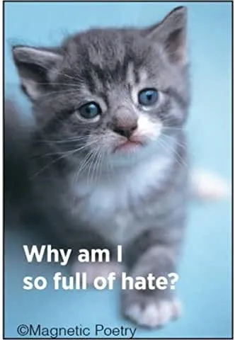 Why Am I So Full Of Hate? Magnet